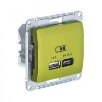 USB Розетка A + тип-C 45W Systeme Electric Glossa высокоскоростная зарядка QC, PD, механизм, ФИСТАШКОВЫЙ