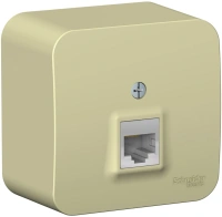 Розетка компьютерная RJ45 с изолирующей пластиной Systeme Electric Blanca BLNIA045007, Бежевый