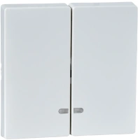 Двухклавишный выключатель с окошком для светоиндикатора Schneider Electric Merten Systeme M, полярно-белый MTN3420-0319