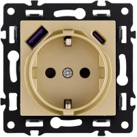 Розетка штепсельная 16A/250 В с USB A+C 20W, золотой бархат Brionilux серия G Plast (GP016GD)
