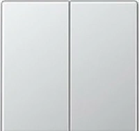 Выключатель двухклавишный Jung eco profi EP405U+EP495AL