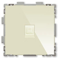 Розетка компьютерная RJ45 кат. 5e одинарная бежевая CGSS Практика PL-W201C-BGG