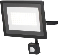 Уличный прожектор светодиодный 50Вт 6500К IP65 Maytoni Flood FL001-L50B6KSR