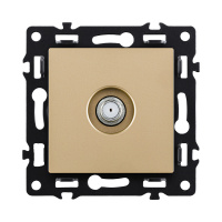Розетка TV, золотой Kollinger Asthetik AS-020GD