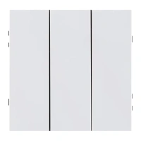 Накладка 3-клавишная, Белый глянцевый Brionilux серия Z (ZGN710WG)