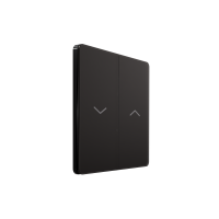 Выключатель д/ЖАЛЮЗИ С/У (250В, 10А), Полярная ночь Systeme Electric Infinity (FSE001019)