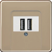 usb розетка | зарядка Jung CD500 260209+CD569TGB