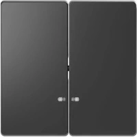 Выключатель двухклавишный с подсветкой Merten D-Life антрацит MTN3135-0000 | MTN3420-6034 Schneider Electric