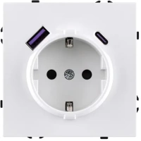 Розетка штепсельная  16A/250 В с USB A+C 20W, белый бархат Brionilux серия Z (ZG016WH)