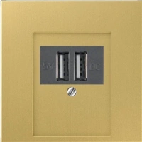 usb зарядка | розетка Jung LS990 260205+ME2969TC