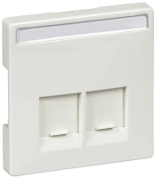 Лицевая панель для розетки 2-портовая Merten Antique Schneider Electric MTN466619, полярно-белый