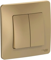 Двухклавишный выключатель (cх.5) скрытой установки 10А 250В Systeme Electric Blanca BLNVS010504, Титан