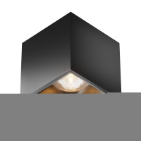 Потолочный светильник светодиодный Maytoni Alfa Led C065CL-L12B3K