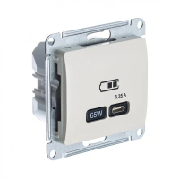 USB Розетка тип-C 65W Systeme Electric Glossa высокоскоростная зарядка QC, PD, механизм, МОЛОЧНЫЙ