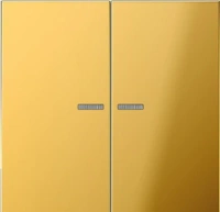 Выключатель двухклавишный с подсветкой Jung LS990 505U5+GO2995KO5