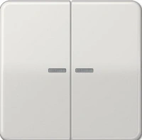 Выключатель двухклавишный с подсветкой Jung CD500 505U5+CD595KO5LG