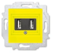 Розетка зарядка usb 2 порта ABB Levit жёлтый - дымчатый чёрный 2CHH290040A6064