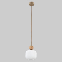 Подвесной светильник со стеклянным плафоном TK Lighting 11049 Ballo