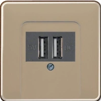 usb зарядка | розетка Jung CD500 260205+CD569TGB