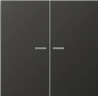 Выключатель двухклавишный с подсветкой Jung LS990 505U5+AL2995KO5AN