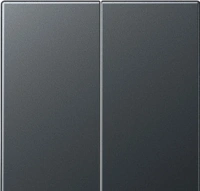 Выключатель двухклавишный Jung 505U+A595BFANM