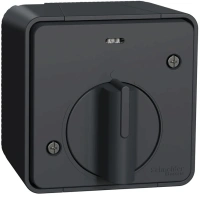 Выключатель с таймером (реле времени) для открытой установки IP55 Mureva Styl Schneider Electric антрацит MUR35067