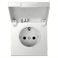 Розетка SCHUKO© с крышкой и защитными шторками 16A 250V~ 2P+T, цвет алюминий Jasmart FD5505PAL