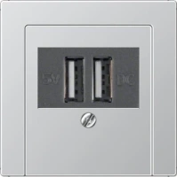 usb зарядка | розетка Jung 260205+A569PLTAL
