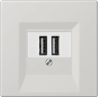 usb розетка | зарядка Jung LS990 260209+LS969TLG
