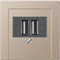 usb зарядка | розетка Jung 260205+A569PLTCH