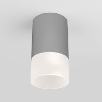 Уличный потолочный светильник Light LED 2106 IP54 Elektrostandard 35139/H серый