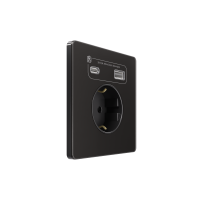 Розетка С/У с ЗК и зар.устр.USB А+С 20Вт (250В, 16А, защит.шторки), Полярная ночь Systeme Electric Infinity (FSE001032)