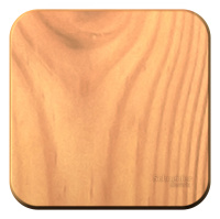 Одноклавишный выключатель с самовозвратом с изолирующей пластиной 10А 250В Systeme Electric Blanca BLNCA101015, Ясень