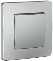 Переключатель 1-клавишный Systeme Electric Blanca С/У IP44 (сх.6), 10AX, 250В, АЛЮМИНИЙ BLNVS410603