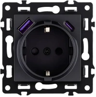 Розетка штепсельная 16A/250 В с USB A+C 20W, черный бархат Brionilux серия G Plast (GP016BK)