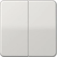 Выключатель двухклавишный Jung CD500 505U+CD595LG