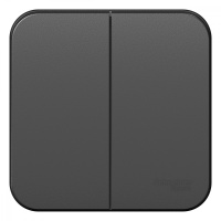 Двухклавишный выключатель с изолирующей пластиной 10А 250В Systeme Electric Blanca BLNVA105016, Антрацит