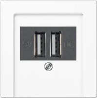 usb зарядка | розетка Jung 260205+A569PLTWW