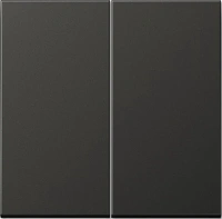 Выключатель двухклавишный Jung LS990 505U+AL2995AN