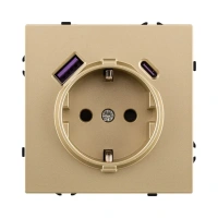 Розетка штепсельная  16A/250 В с USB A+C 20W, золотой бархат Brionilux серия Z (ZG016GD)