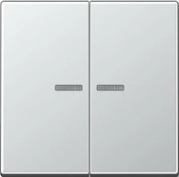 Выключатель двухклавишный с подсветкой Jung 505U5+A595KO5AL