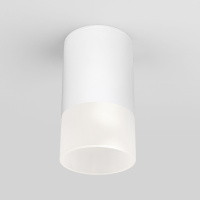 Уличный потолочный светильник Light LED 2106 IP54 Elektrostandard 35139/H белый