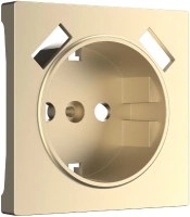 Накладка для USB розетки шампань Werkel Встраиваемые механизмы шампань W1179511