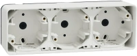Тройной бокс для накладного монтажа, горизонтальный, IP55 Mureva Styl Schneider Electric MUR39913, белый