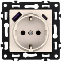 Розетка штепсельная 16A/250 В с USB A+C 20W, Кашемир бархат Brionilux серия G Plast (GP016CM)