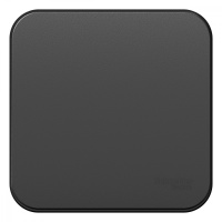 Одноклавишный выключатель с самовозвратом с изолирующей пластиной 10А 250В Systeme Electric Blanca BLNCA101016, Антрацит