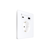 Розетка С/У с ЗК и зар.устр.USB А+С 20Вт (250В, 16А, защ.шторки), Арктический лед Systeme Electric Infinity (FSE000132)