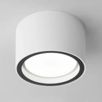Уличный потолочный светильник Light 26231 IP54 Elektrostandard 35144/H