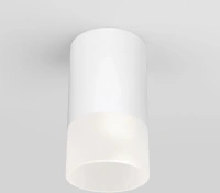 Уличный потолочный светильник Light LED 2106 IP54 Elektrostandard 35139/H белый