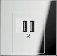 usb розетка | зарядка Jung LS990 260209+GCR2969T